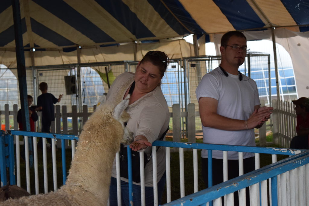 woman petting animal