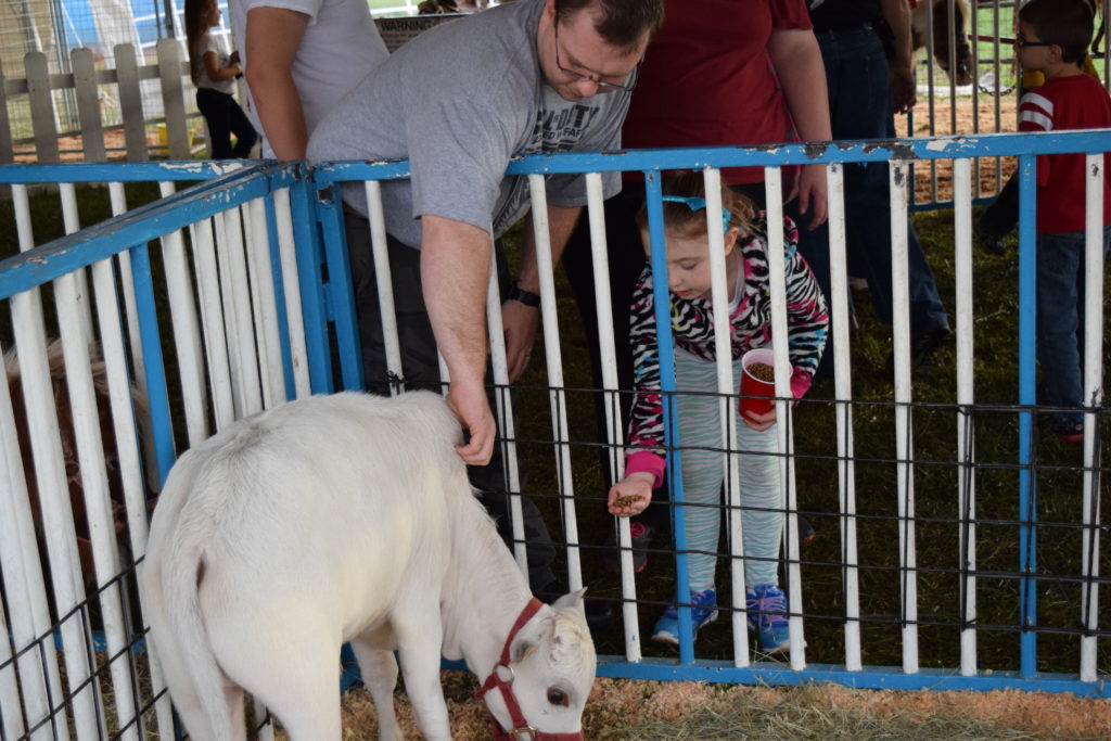 man petting animal