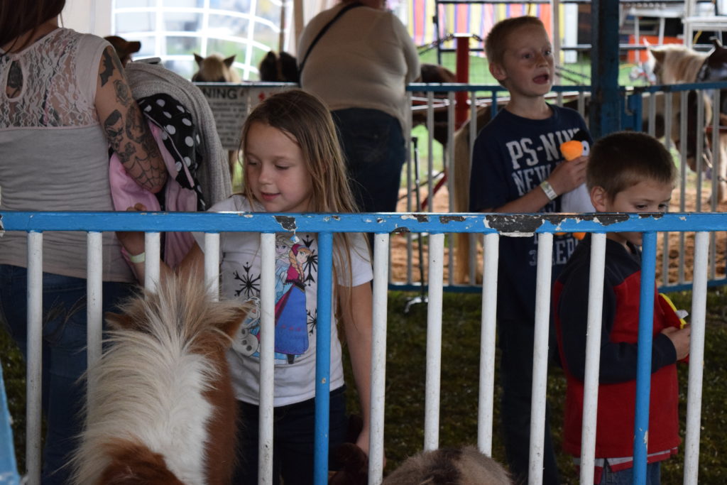 kid at petting area