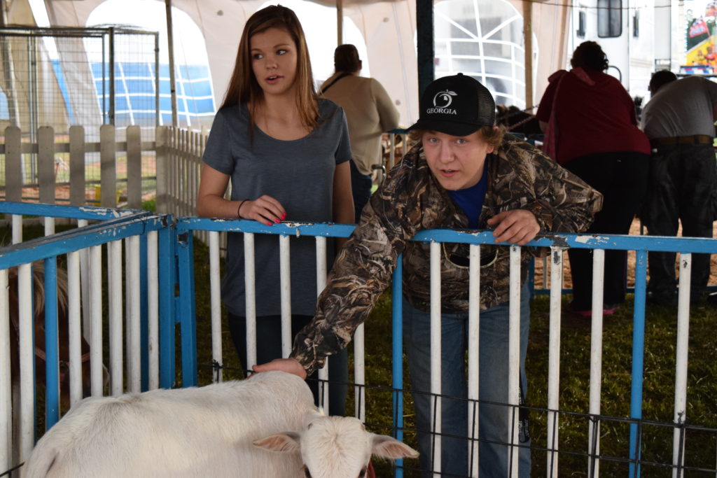 kid petting animal