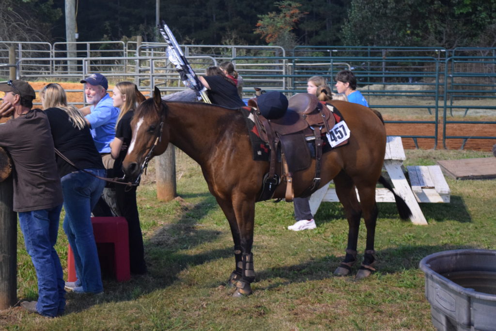 horse ride