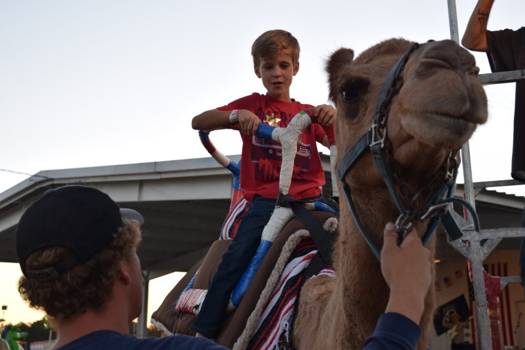 camel ride